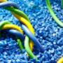 Compuesto de PVC para Cable