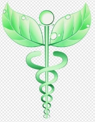 Salud naturalmente asesoría