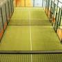 Canchas de padel