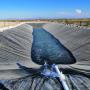 Geomembranas