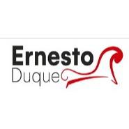 Psicoanalista Ernesto Duque