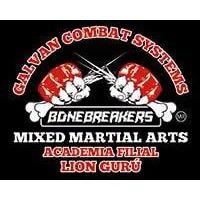 Academia de Artes Marciales Lion Gurú