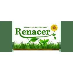 Vivero Y Jardinería Renacer