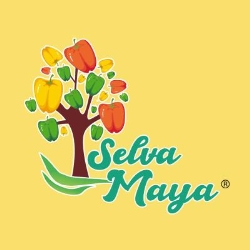 SALSA TAJITO REMON