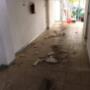 Limpieza de casas