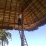 Aplicación de Retardante a palapa