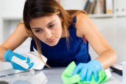 servicios domesticos naucalpan