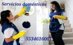 Empleadas domésticas 5534616001