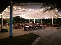 Carpas Burdeos