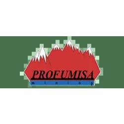 Profumisa Mining