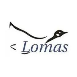 Volkswagen Lomas