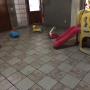 Area de Juego
