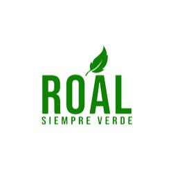 Roal Siempre Verde