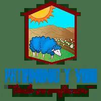 Patrimonio Y Vida Bienes Raices