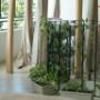 Estructura de madera con plantas alrededor.