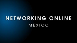 Networking Online México