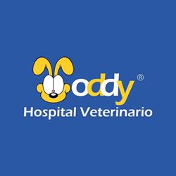 Hospital Veterinario oddy