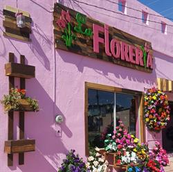 LA FLORERIA