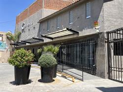 Genesis Suites