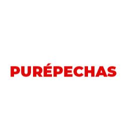 Fletes Y Mudanzas Purépechas