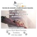 Cremacion de Mascotas en Cuernavaca