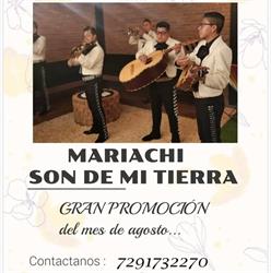 Mariachi Son De Mi Tierra