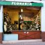 Floreria Biiba