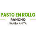Pasto En Rollo Rancho Santa Anita