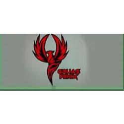 Gruas Fenix