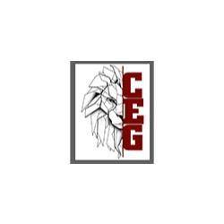 Ceg Cercado Eléctrico