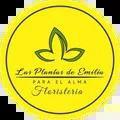 Las Plantas De Emilia