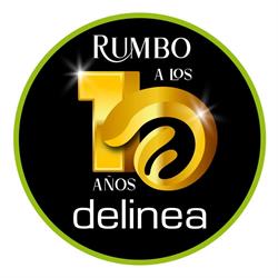 Delinea diseño