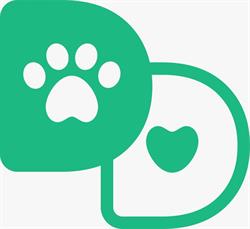 DogDay