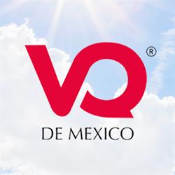 VyQ de Mexico SA de CV