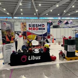 Grupo SIESMO MRO