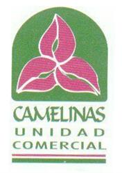 Servis Camelinas