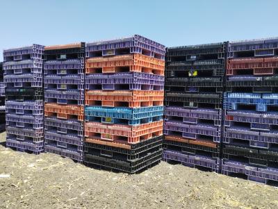 BulkContainers-48x45x34