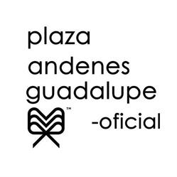 Plaza Andenes Guadalupe oficial