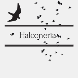 Servicios de halconeria
