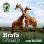 Jirafas camp