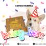 Caja BTD Dog