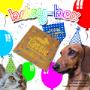 Caja Cumpleaños