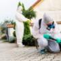 fumigaciones en casas