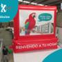 iguras inflables publicitarias Publicidad inflable exterior Publicidad inflable personalizada