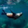 Buceo en la Paz