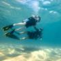 curso y certificación de buceo