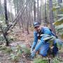 Reforestación en predio forestal