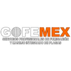 Grupo Fumiextintor De Mexico