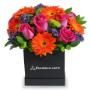 Arreglos Florales