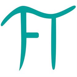 Terapia Física PI